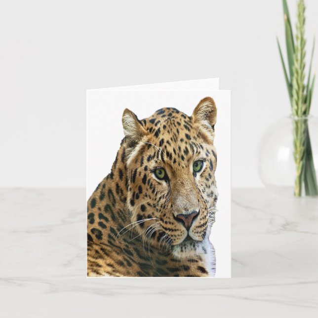Carte photo Leopard pliée (Devant)