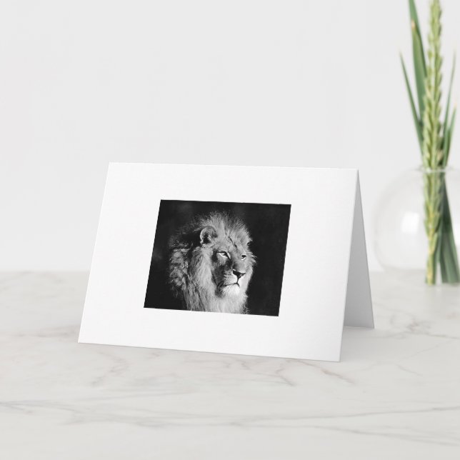 Carte Photo Lion noir et blanc (Devant)