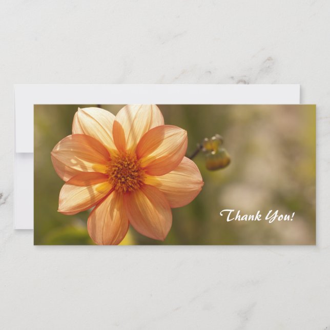 Carte photo Merci (Devant)