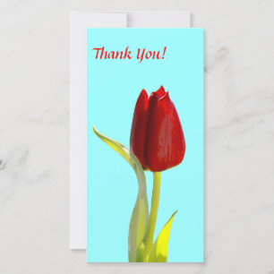 Carte photo Merci