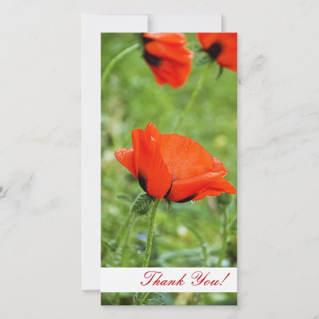 Carte photo Merci (Devant)