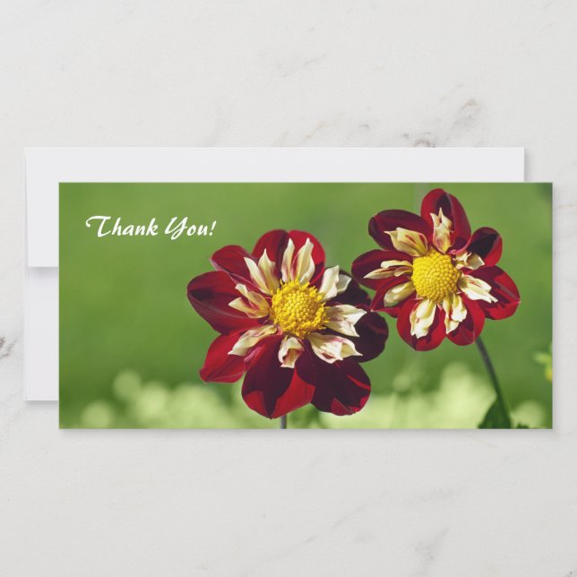 Carte photo Merci (Devant)