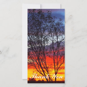 carte photo Merci - coucher de soleil