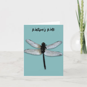CARTE PHOTO MODERNE DRAGONFLY