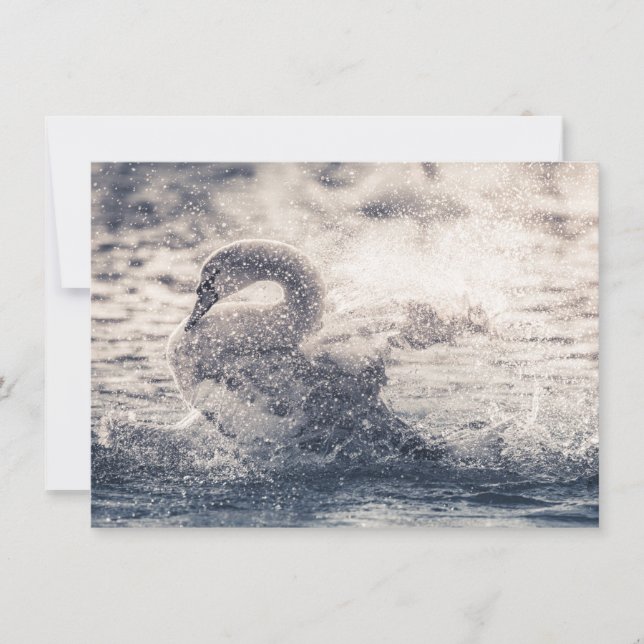 Carte photo naturel de Swan (Devant)