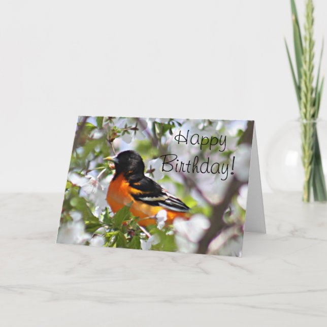 Carte Photo Oriole (Devant)