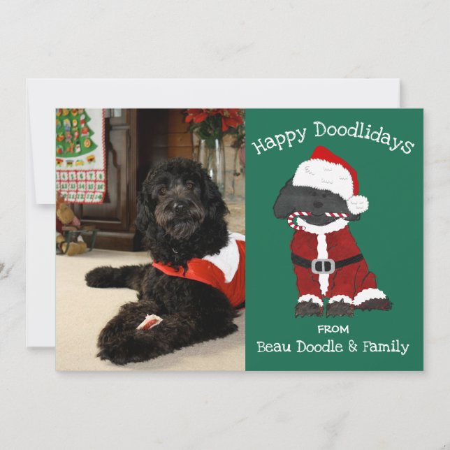 Carte Photo personnalisée Noël Labradoodle Père Noël Hol (Devant)