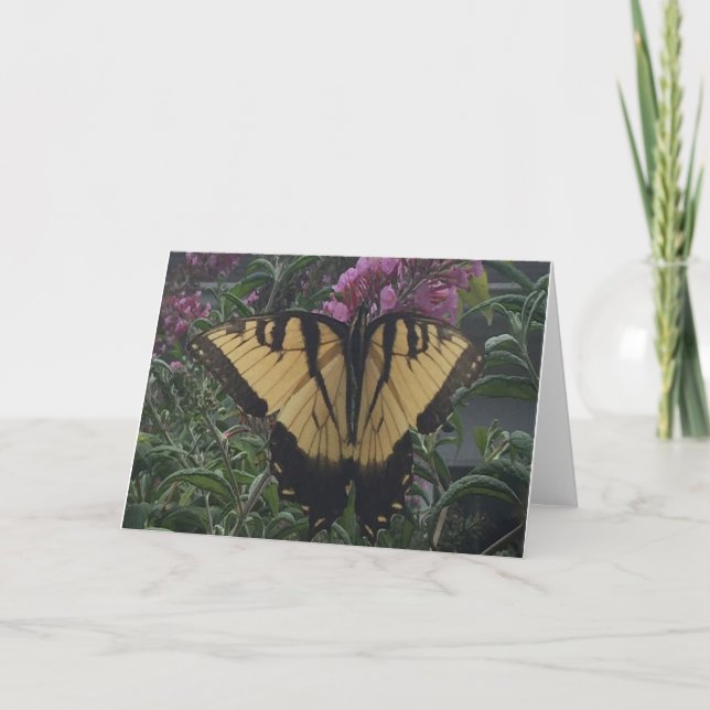 Carte Photo personnelle de Yellow et Black Butterfly (Devant)