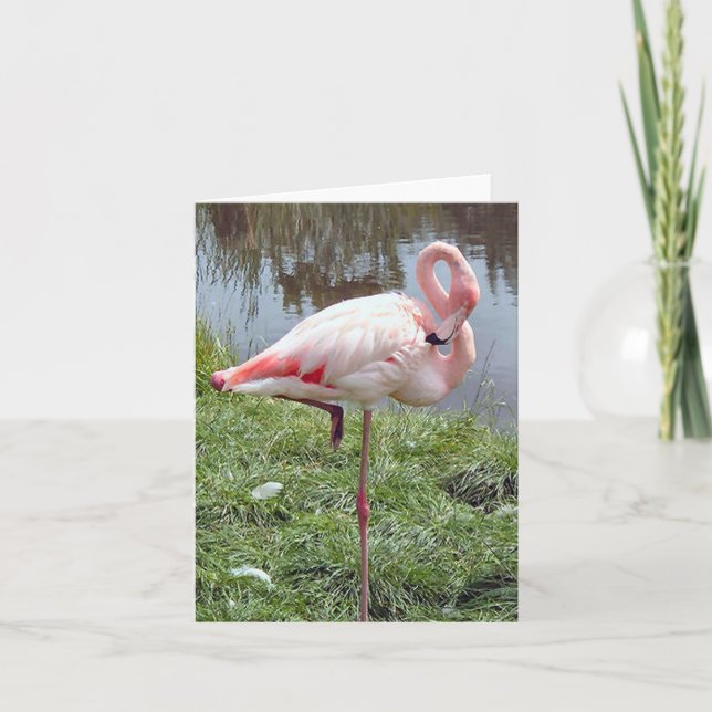 Carte photo pliée en Flamant rose rose (Devant)