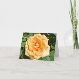 Carte photo pliée rose jaune