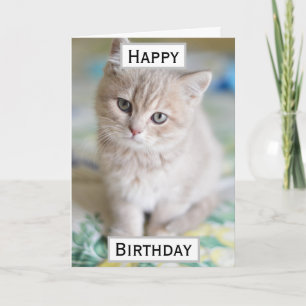 Carte Photo pour animaux de compagnie du meilleur papa c