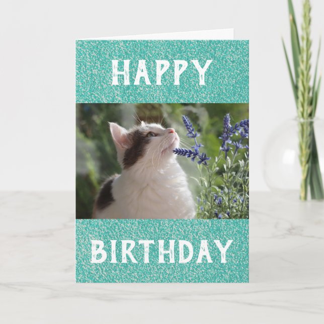 Carte Photo pour animaux de compagnie du meilleur papa c (Devant)
