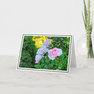 Carte Photo Roses de Escalade rose pâle à feuillage vert
