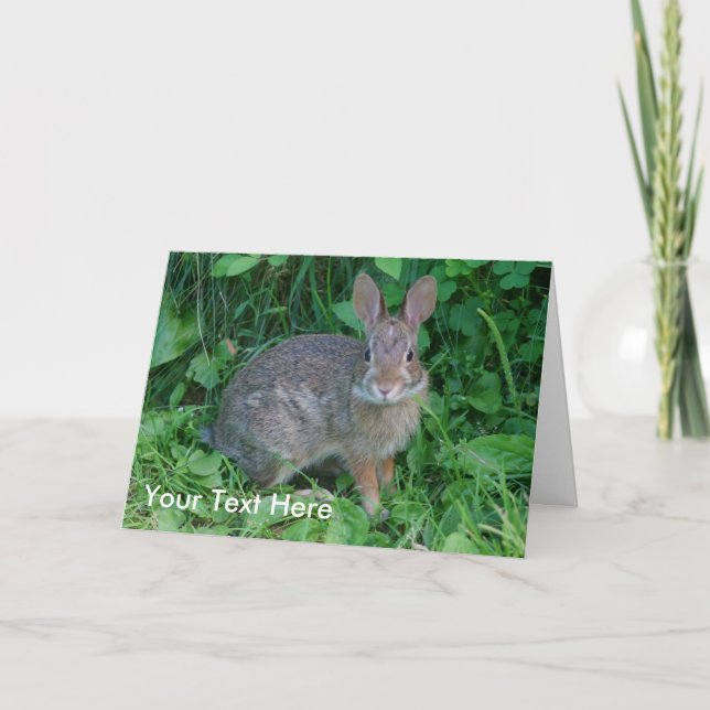 Carte photo sauvage de nature animale de lapin (Devant)