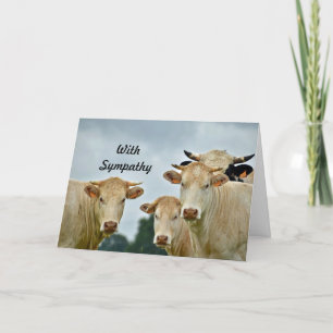 Carte Photo Sympathie avec les vaches tan des animaux de