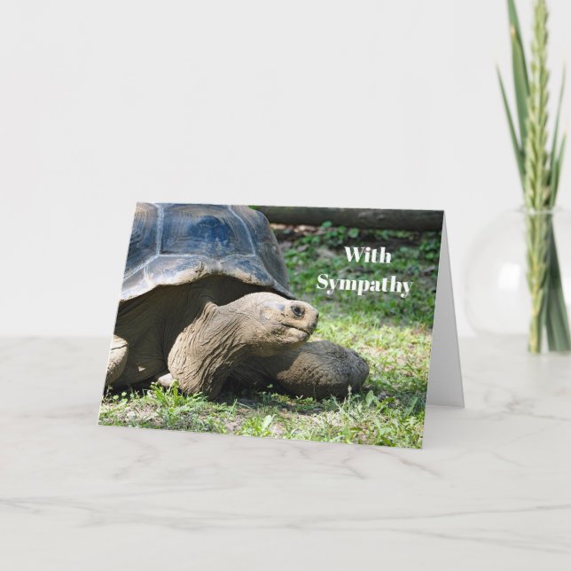 Carte Photo Sympathy de Wildlife Tortoise (Devant)