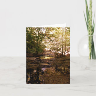 Carte photo vierge - Rivière