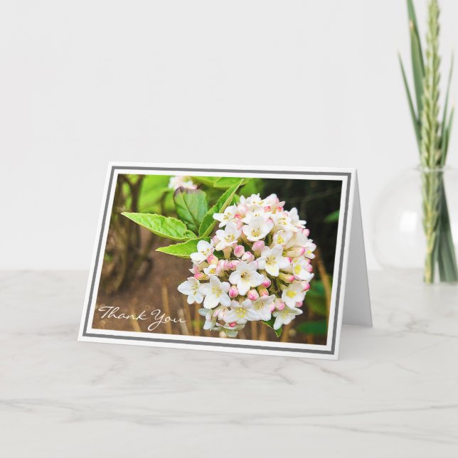 Carte Photo White Viburnum Pink Bufs et Green Foliing (Devant)