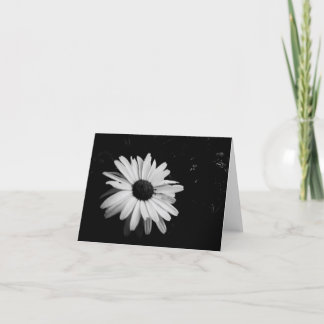 Carte Photographe notecards