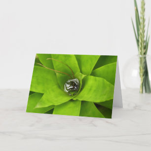 Carte Photographie botanique verte de Bromeliad