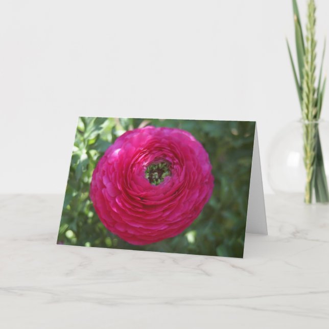 Carte Photographie de la nature (Devant)