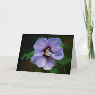 Carte Photographie de la nature