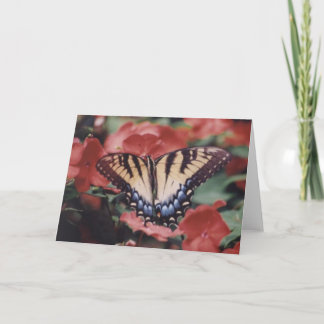 Carte Photographie de la nature
