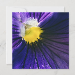Carte Photographie de macro inspirationnelle violet mode