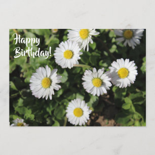 Carte Photographie de marguerites de joyeux anniversaire