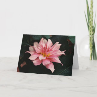 Carte Photographie de nature