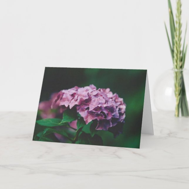 Carte Photographie de nature (Devant)