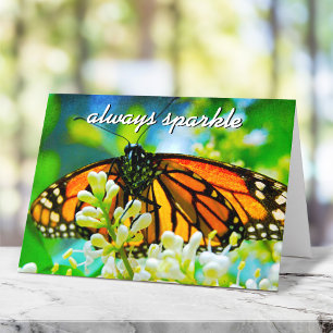Carte Photographie de papillon monarque orange qui brill
