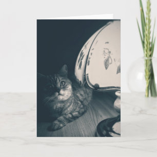 Carte Photographie de style noir de chats et lampes