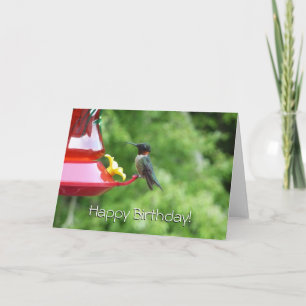 Carte Photographie d'oiseau de colibri à gorge rubis
