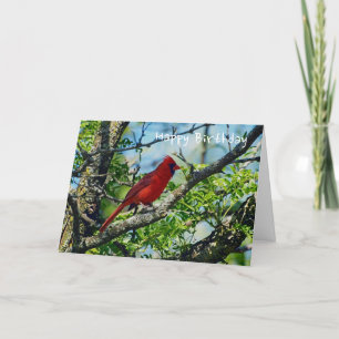 Carte Photographie d'oiseau sauvage du cardinal rouge