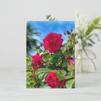 Carte Photographie Florale de Jardin Ensoleillé