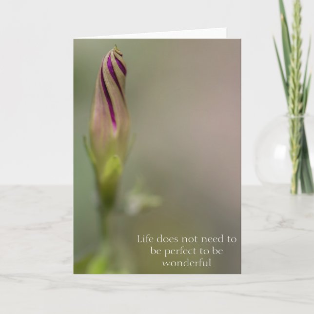 Carte Photographie Matin Glory Bud Greeting Card (Devant)
