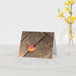 Carte photographie minimaliste de feuille d'érable autom