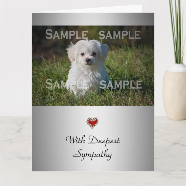 Carte Photomontologie de la perte du chiot (Devant)
