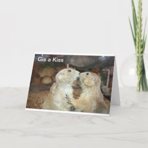 Carte photos d'animaux mignons