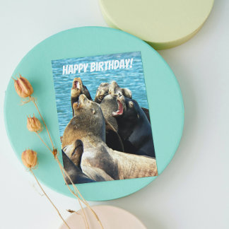 Carte Photos De Seal Lions De Tous Les Anniversaires