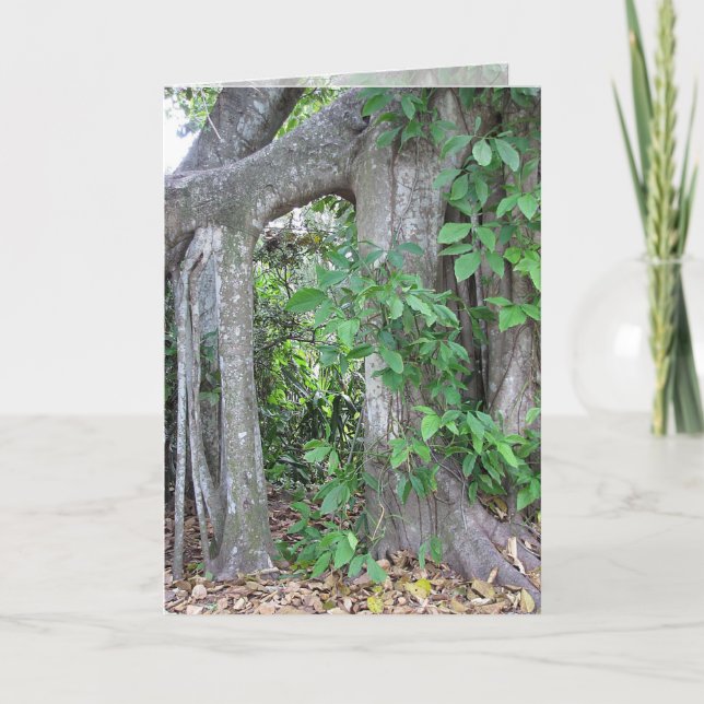 Carte Pi qui que ce soit ? (Devant)