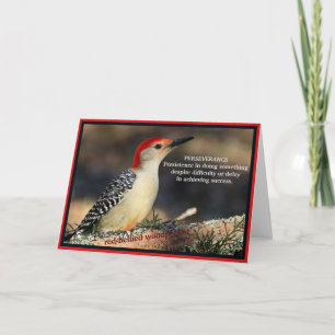 Carte Pic à ventre rouge Persévérance inspirante