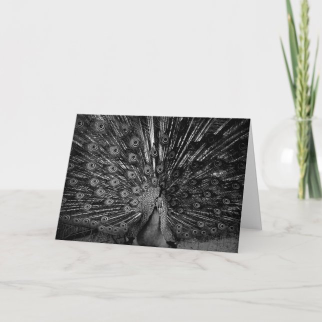 Carte Pic avec la queue (Devant)