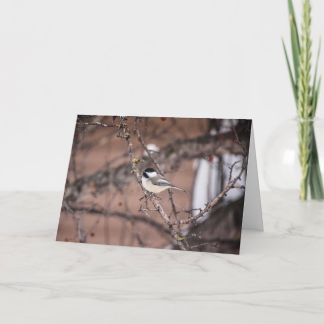 Carte Pickadee (Devant)
