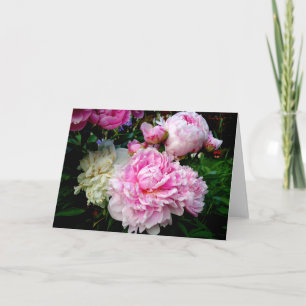 Carte Pies roses et blanches