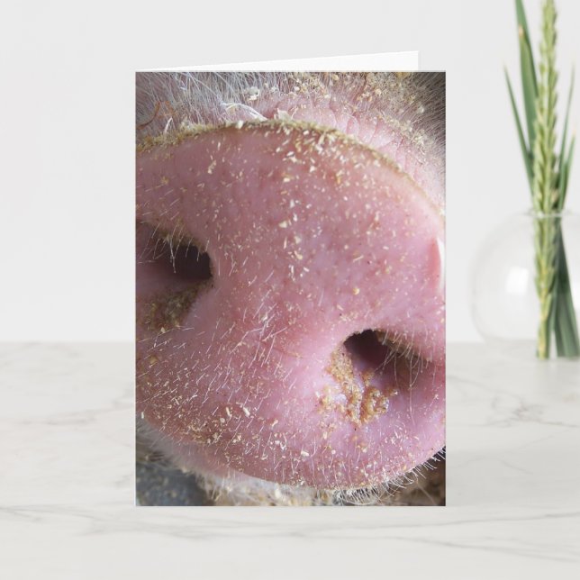 Carte Pig rose gros plan photo (Devant)