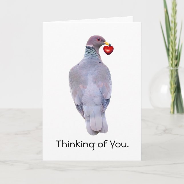 Carte Pigeon Heart (Devant)