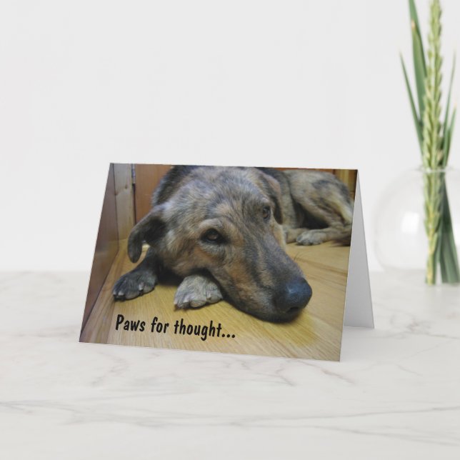 Carte Piges pour la pensée : Chien 2 (Devant)