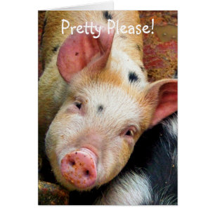 Carte PIGS